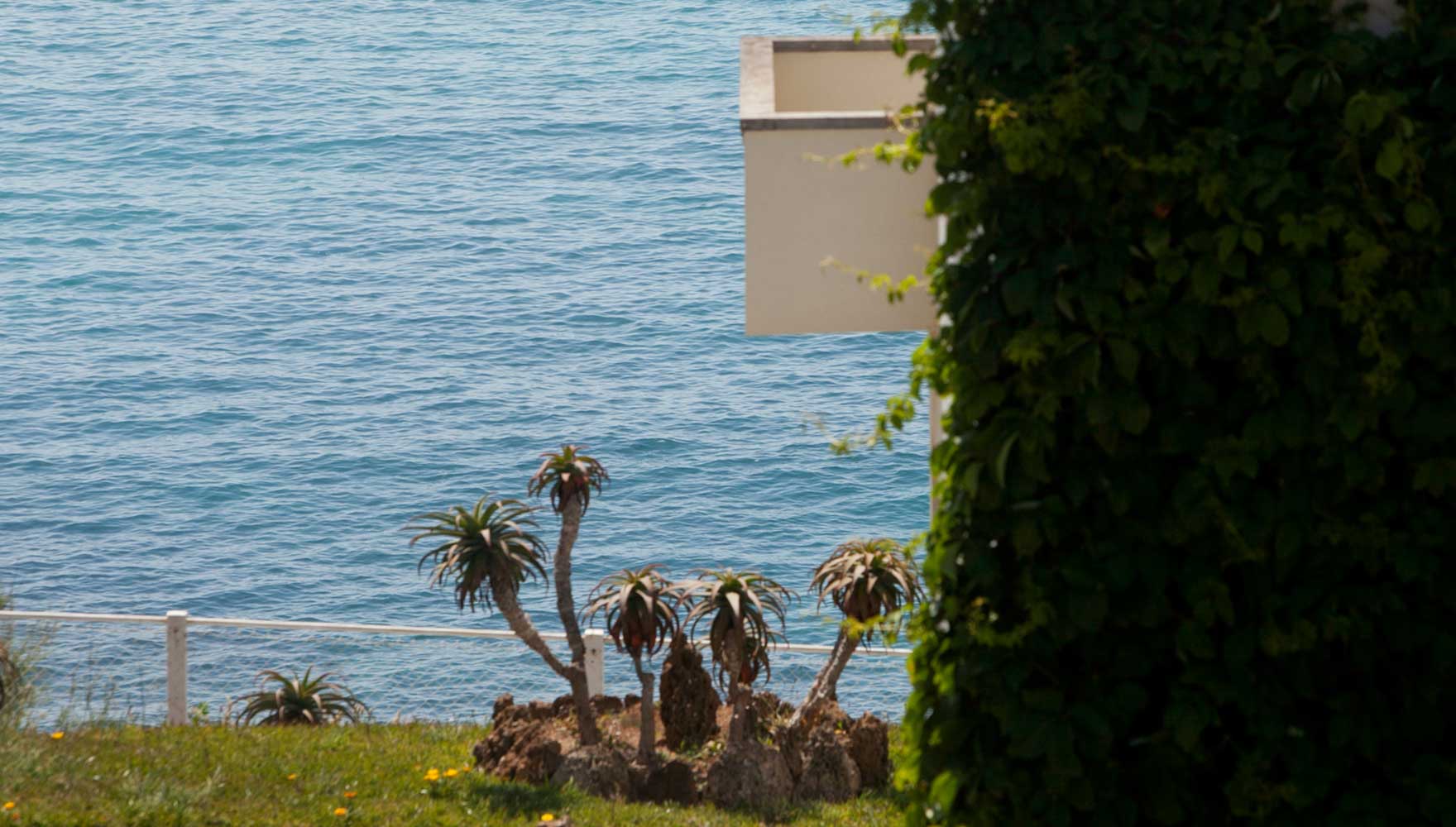 view from the balconies